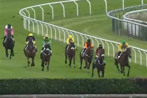 Fan favourite racehorse Lil Rockerfeller tragically dies from heart attack moments after finishing..
