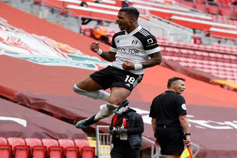 Newcastle fans fume as Mike Ashley refuses to stump up £4m for Mario Lemina transfer as he is over..