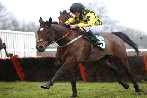 Jockey Aidan MacDonald opens up on the horror of suffering a stroke aged just 21 as he sets sight..