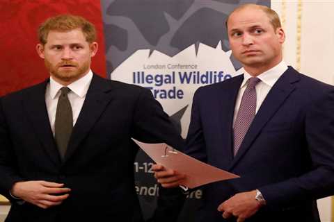 Prince William &amp; Harry ‘have been in contact but relations are STILL strained’ ahead of Diana..