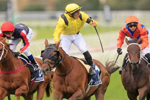 William Haggas excited for ‘clash of the generations’ in Coral-Eclipse and reckons 10-3 shot..