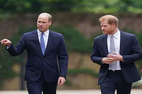Prince Harry battled ‘inner tension’ at Diana statue unveiling with one sign giving it away, claims ..