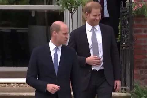 Prince William &amp; Harry buried feud during Diana statue unveiling as they spoke of ‘amazing’..
