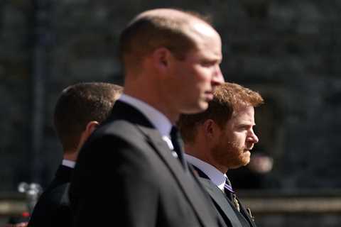 Eight key things Prince Harry and William could thrash out in behind-closed-doors showdown after..