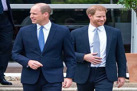 Prince Harry stayed for just ‘TWENTY MINUTES with William at Diana statue reception but left..