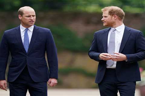 Prince William &amp; Harry ‘did NOT have heart-to-heart but had glass of champagne together’ after..