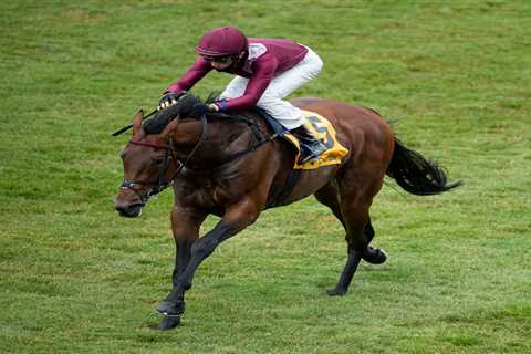 Our man gives his view on the Coral Eclipse – a poor turnout or a race to look forward to?