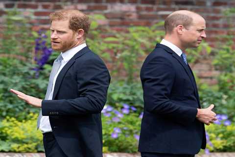 Rift between two princes may never heal as ‘it’s impossible for William to ‘trust’ Harry after..