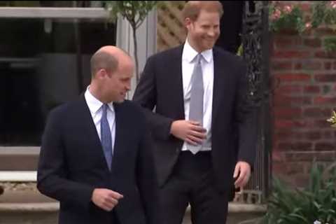 ‘Stubborn’ Prince William &amp; Harry take significant step in healing rift with joint Princess..