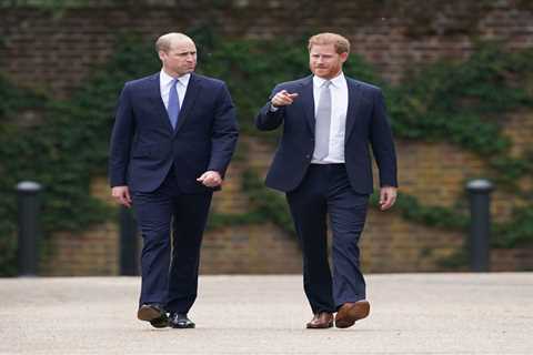 Prince William &amp; Harry showed bond despite rift at Diana statue unveiling- but smiles were..