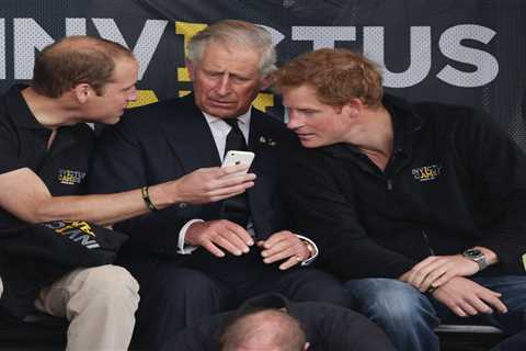 Prince Harry is competing with William and Charles to be the ‘better royal’ and ‘more like Diana’,..
