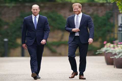 Harry WON’T make up with William despite Diana statue unveiling as he ‘can’t afford to upset..