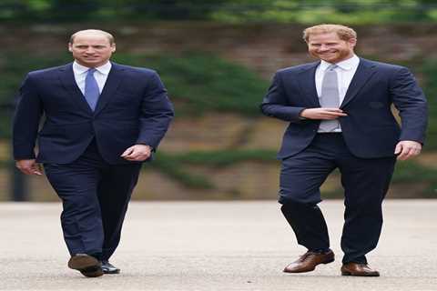 Prince Harry and William’s touching tribute to Diana in full