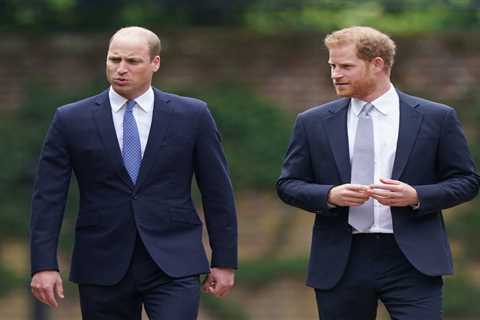 Prince William won’t discuss royal rift with Prince Harry as all discussions have to go through..