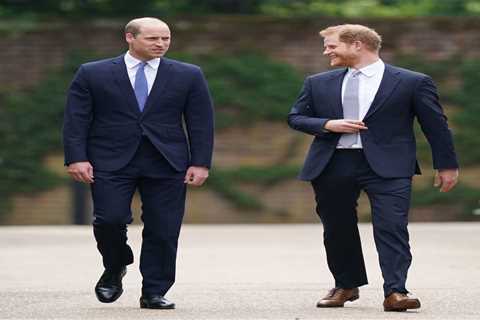 Prince William &amp; Prince Harry avoided ‘rival speeches’ by making joint statement at Princess..