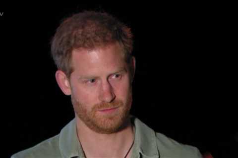 Royal staff ‘planted stories’ claiming Prince William was worried for Prince Harry’s mental health, ..