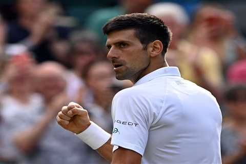 Novak Djokovic claims upbringing with WOLVES in Serbian mountains fuels hunger after he roars at..