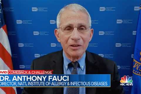 Fauci says Covid deaths are ‘preventable’ as he pleads for Americans to ‘put differences aside and..