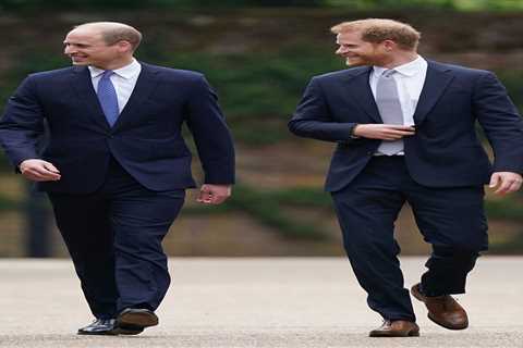 Meghan Markle’s pal says ‘distance remains’ between Harry and William despite ‘genuine’ smiles at..