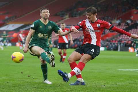Tottenham in Jannik Vestergaard transfer talks as one of two new defenders as club prepare for Toby ..