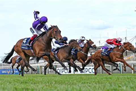 Jane Chapple-Hyam ready to stop being ‘the bridesmaid’ and win first Group 1 with Newmarket runner..