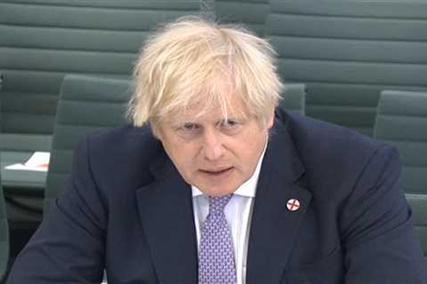Boris Johnson warned not to hit struggling Sun readers with expensive plans to go green