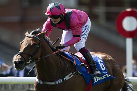 Newmarket racecard: July Cup runners list, odds and horse-by-horse guide plus Templegate tip for..