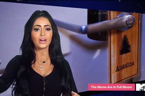 Jersey Shore star Angelina Pivarnick’s husband Chris refuses to watch ‘cheating video of wife amid..