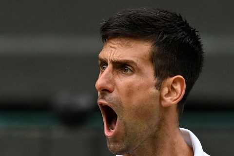 Novak Djokovic cruises into Wimbledon final to keep historic Golden Slam hopes alive in front of..