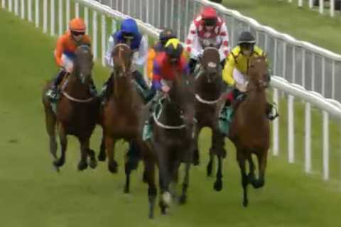 Jockey Oliver Stammers airlifted to hospital with head injury after horror Chester fall