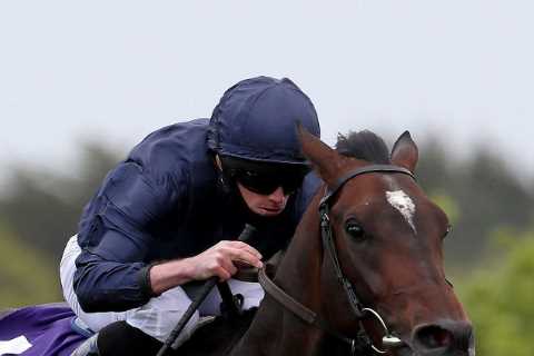 Bolshoi Ballet and Santa Barbara deliver Aidan O’Brien £665,000 big-race double in New York