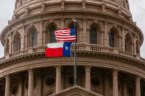 Texas Man Who Waited Hours to Vote Is Arrested on Charges of Illegal Voting