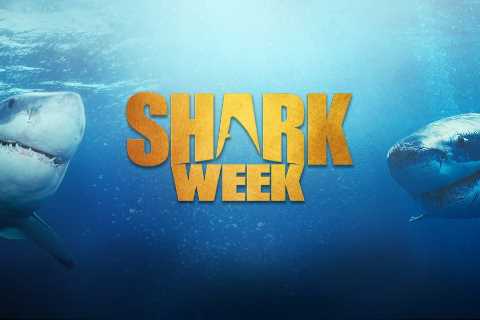Shark Week schedule 2021: Channel, start time and full celebrity line-up