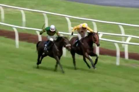 Watch racing punter’s brilliant reaction caught live on TV after 33-1 shot beats billionaire’s..