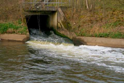 Only one English river safe to swim in – with 400 Olympic sized pools of filth released in a day