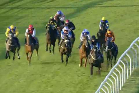 Jockey Shane Kelly suffers horrendous high-speed crash through rail in fatal Brighton incident