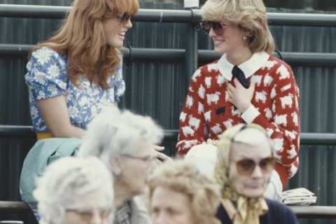 Princess Diana would have ‘loved Meghan Markle and Kate Middleton because they have their own..