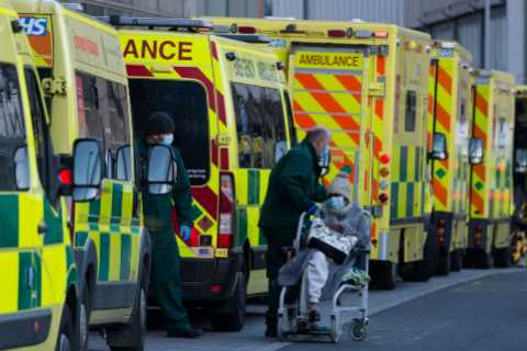 Fourth Covid wave and up to 60,000 flu deaths could leave NHS facing ‘worst winter EVER’, experts..
