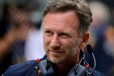 Red Bull chief Christian Horner reveals how he beat Mercedes to Max Verstappen as F1 star targets..