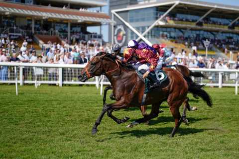 Gamble landed in Newbury Super Sprint as Richard Hannon’s fine spell continues with 59-1 double