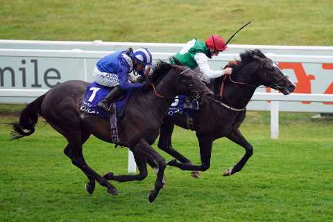 Devastated William Muir reveals Pyledriver is out of ‘race of the season’ after picking up..