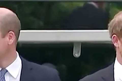 Prince Harry reveals he is writing memoir on ‘lessons learned’ in book about Megxit that will be..