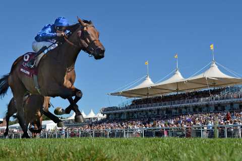 Glorious Goodwood 2021: NEW betting offer, which horses to look out for and dates for horse racing..