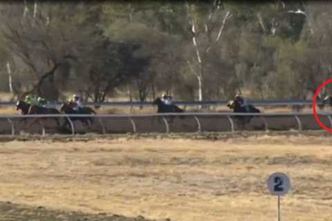 Watch mad race where jockey is labelled ‘god among men’ for unbelievable ride… and making a mockery ..