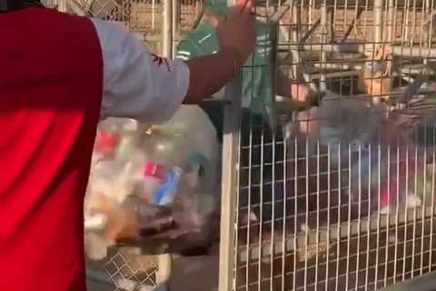 F1 star Sebastian Vettel shows his class after staying behind at British Grand Prix to clear litter ..