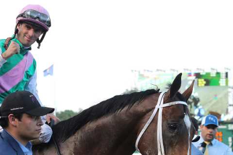 Top horse Mandaloun could be named winner of two races worth £1.8million – despite finishing second ..