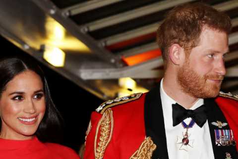 Prince Harry and Meghan Markle should be stripped of all titles with immediate effect, demands..