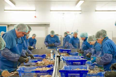 Full list of people exempt from Track and Trace app ping – from energy plant workers to NHS staff