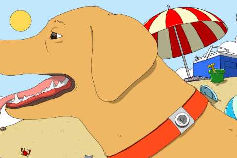 Can Apple’s AirTags Find Lost Pets?