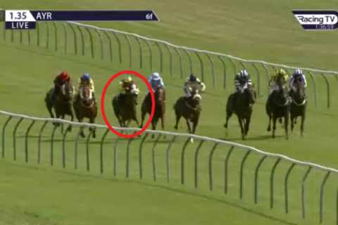 Punters celebrate massive windfall after somehow backing 999-1 in-running winner who stole race in..